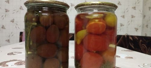 Рәмзия Әхмадуллинадан кишер яфрагы белән помидор маринадлау рецепты
