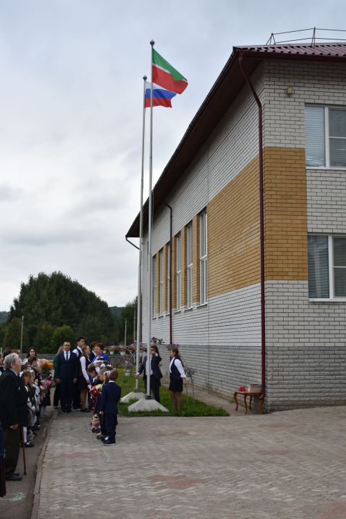 Снова в школу