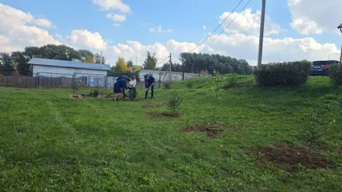 Балтач районы прокуратурасы хезмәткәрләре эш бинасы территориясенә агачлар утырттылар