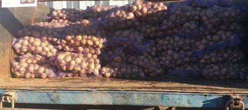 Республикада гошер җыю кампаниясе башланды