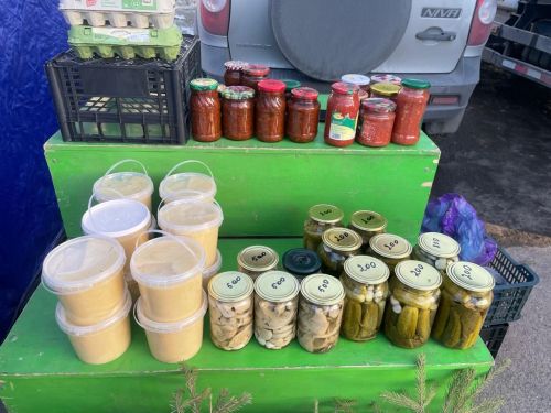 Бүген Балтачта һәм Чепья авыл җирлегендә авыл хуҗалыгы ярминкәләре узды