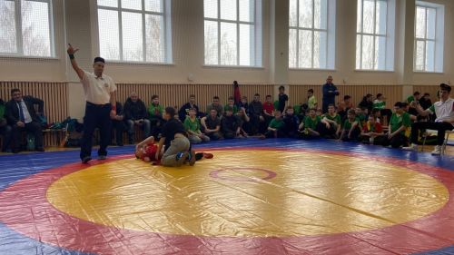 Алмаз Нотфуллин истәлегенә узган көрәш ярышыннан фотомизгелләр