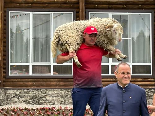 Балтач Сабан туеннан фоторепортаж