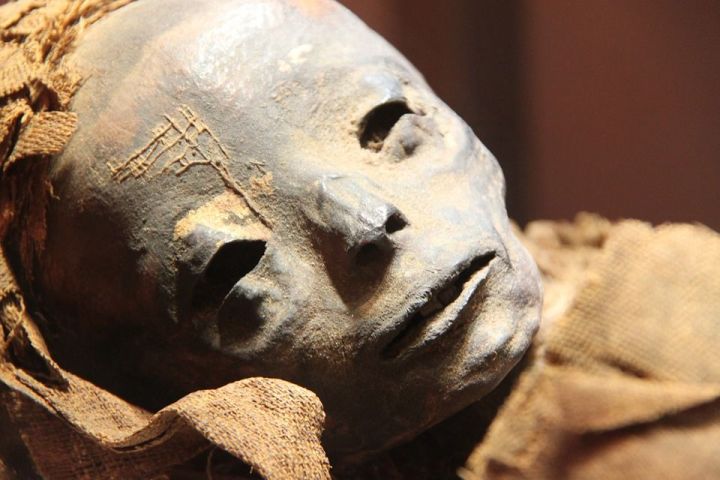 Фатирда "мумия" табылган...