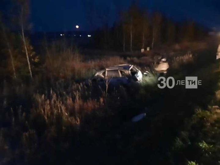 Татарстан трассасында җиңел автомобиль фурага бәрелгән һәм юл читенә төшеп киткән