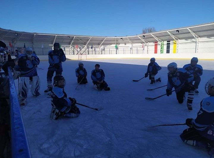 Балтач хоккейчылары - "Алтын алка" &nbsp;Бөтенроссия ярышларының республика этабында призер (+фото)