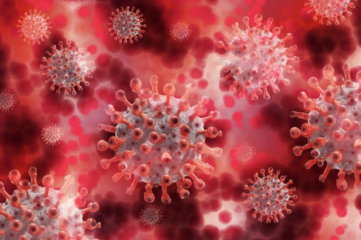 ⚡☣️ В Татарстане выявили 36 новых случаев коронавируса за сутки