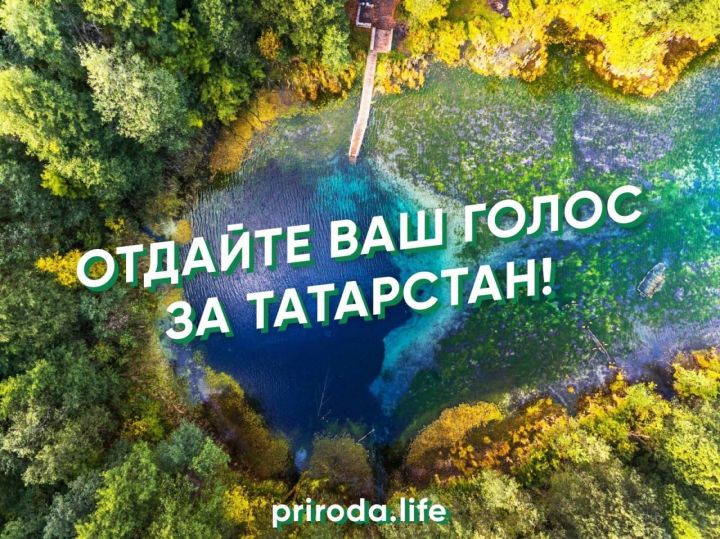 Президент татарстанлыларны экотуризмны үстерү буенча конкурста тавыш бирергә өндәде