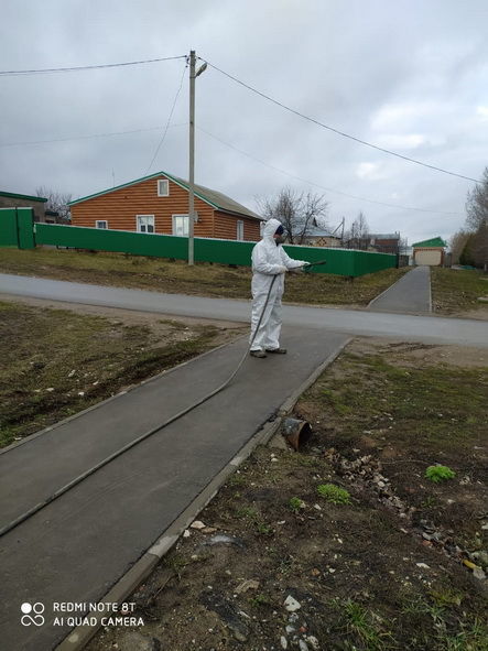 Татарстанның Тукай районы авыл җирлегендә котыру чире буенча карантин кертелде