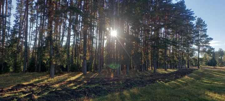 "Роддом тәрәзәсеннән карап, "Ә ул елый беләме?" диеп сораганы исемә төште..."