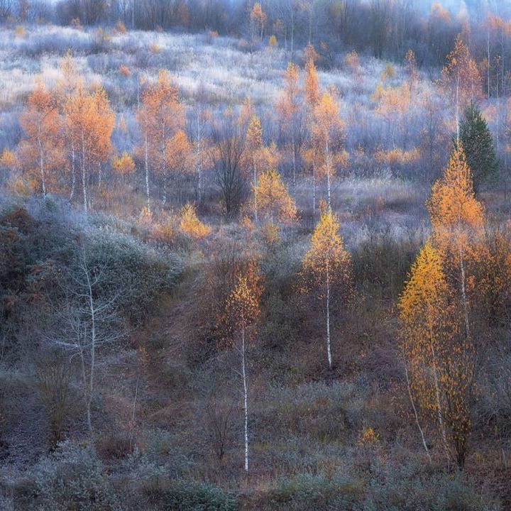 КФУ галиме: «Татарстанда сентябрьдә октябрь салкыннары көтә»