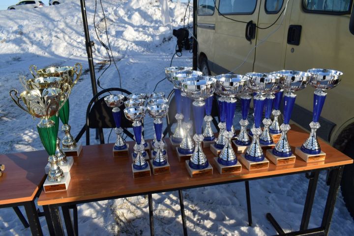Балтач картингчылары Теләчедә узган ярышта матур нәтиҗәләргә иреште (фото)