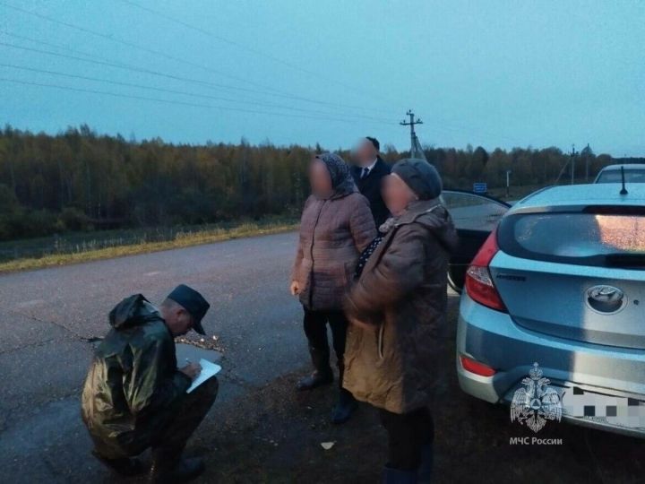 Өч гөмбәче адашкан