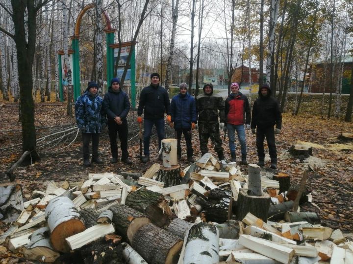 Балтач спорт мәктәбе тренерлары утын әзерли (фото)