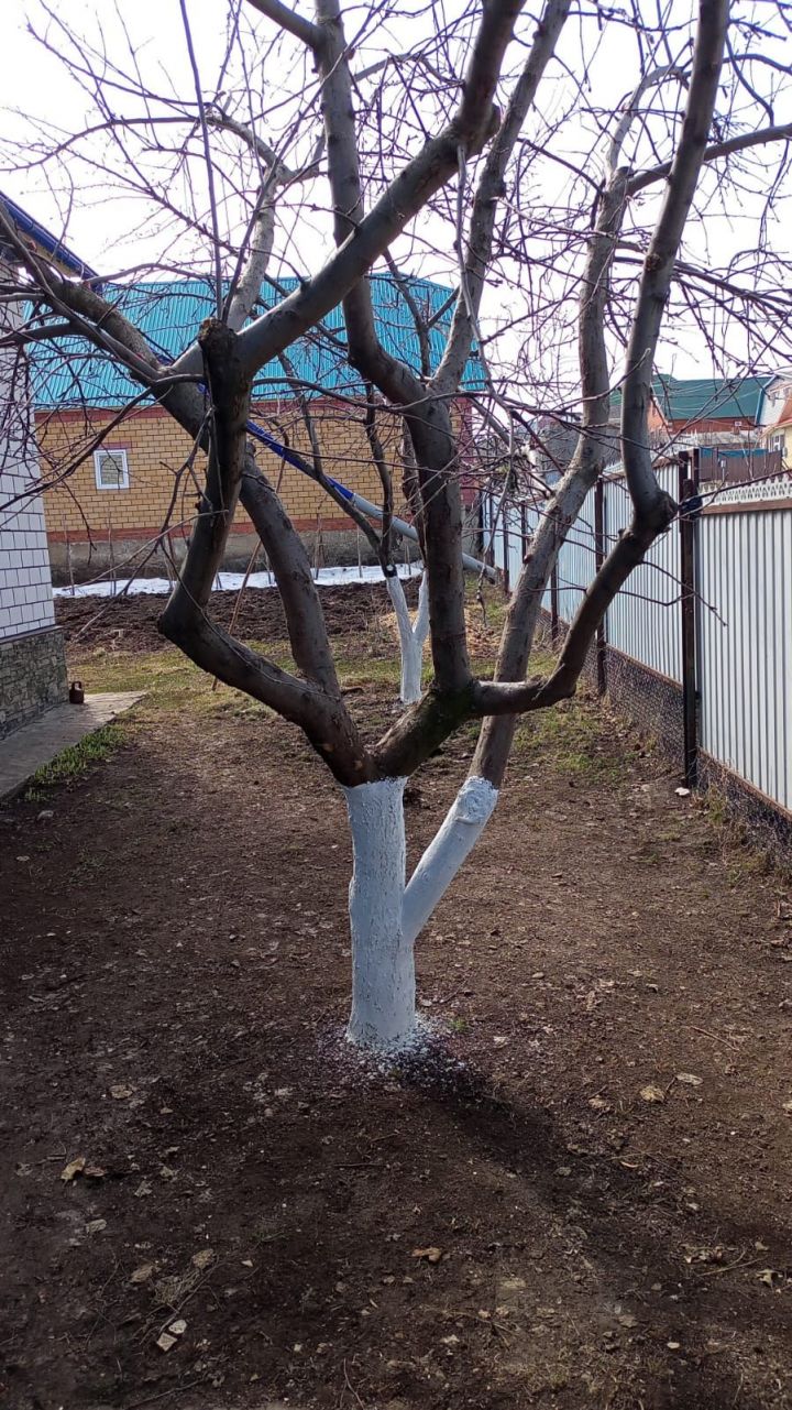 Зарарлы бөҗәкләр уянганчы...