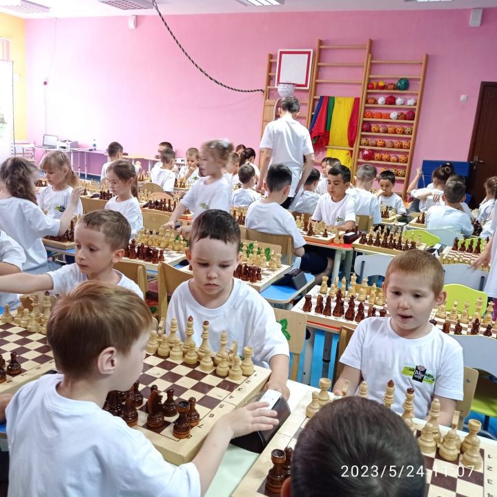 Балтачның нәни шахматчылары зур җиңүләр белән кайтты (фото)