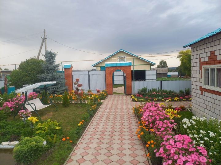 Раушания Гайнуллинаның чәчәкләре белән хозурланыйк әле (фото)