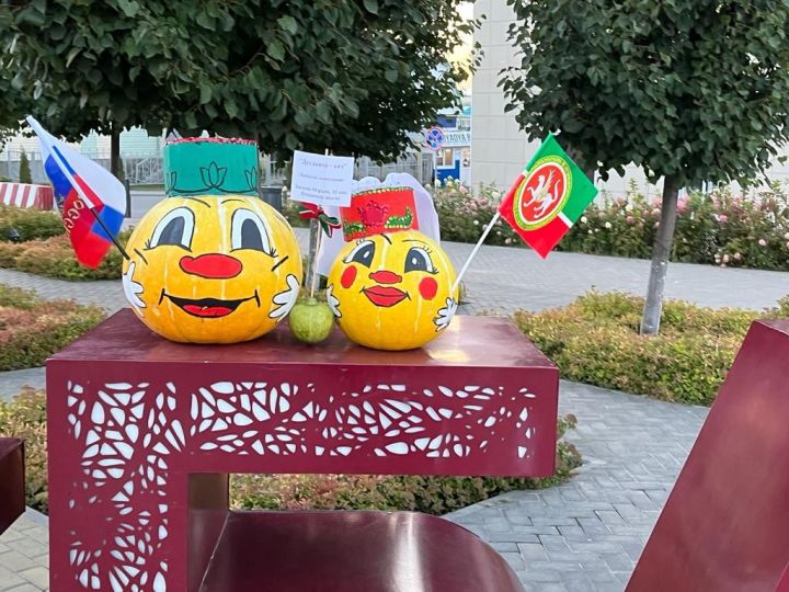 Балтач китапханәчеләре республика көненә бик матур күргәзмә әзерләде (фото)