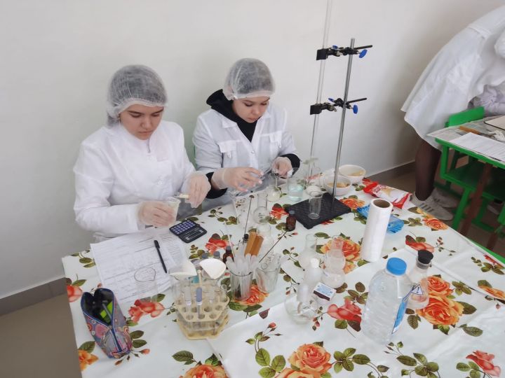 Балтач мәктәбендә VIII һөнәри осталык буенча чемпионат кысаларында осталарны ачыкладылар (фото)
