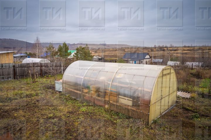 Теплицаны акканат басса...
