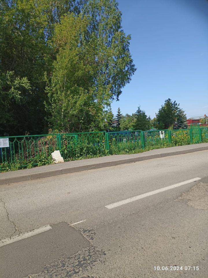 Балтач зиратының чүпләре нигә түгелми? (фото)