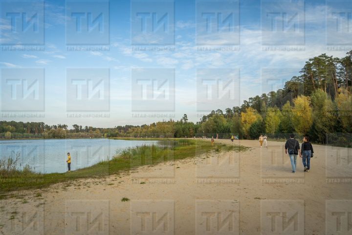 «Таза тараканнар», яки өйләнергә менә дигән сәбәп табылган