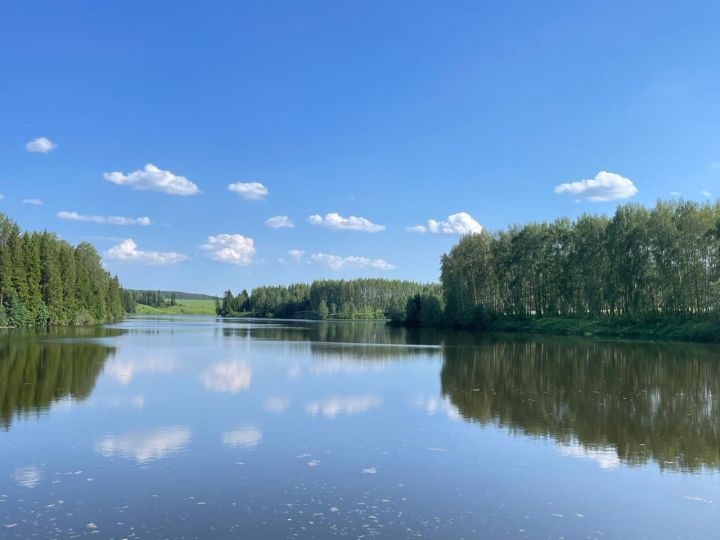 Райондашыбыз, халык синоптигы Әмир Шәрәфиев: «Әбиләр чуагы озакка сузыла»