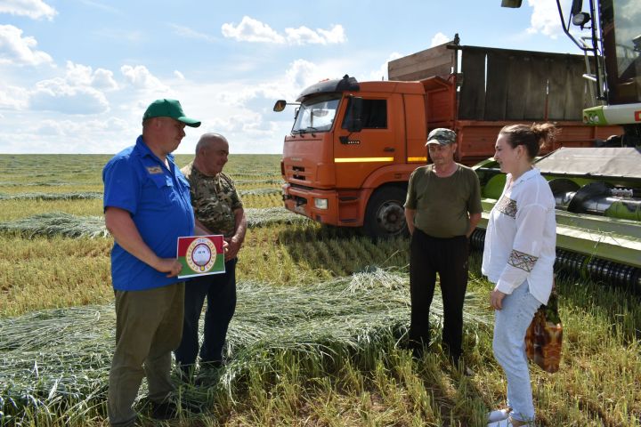 «Кызыл юл»лылар сенаж сала башлады