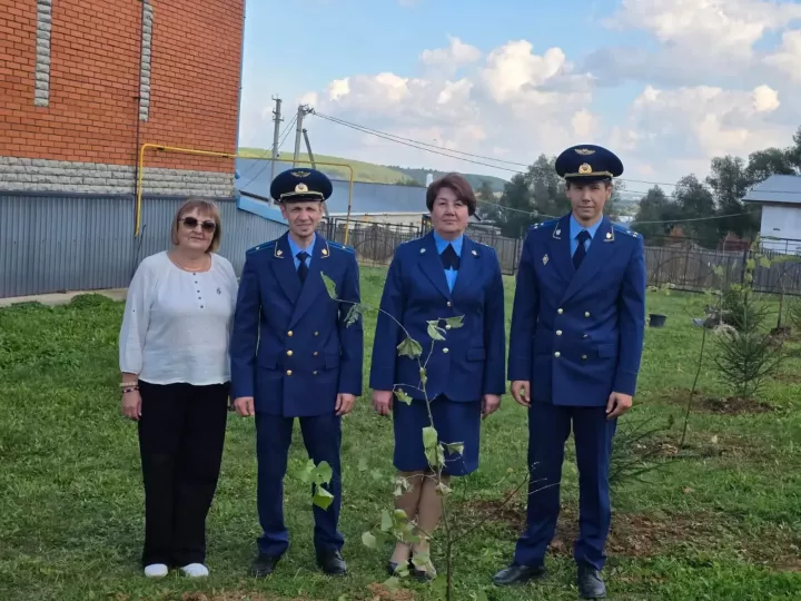 Балтач районы прокуратурасы хезмәткәрләре эш бинасы территориясенә агачлар утырттылар