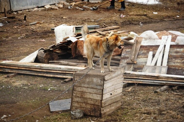 Кариле авылы аша оялмыйча узып китеп булырмы?