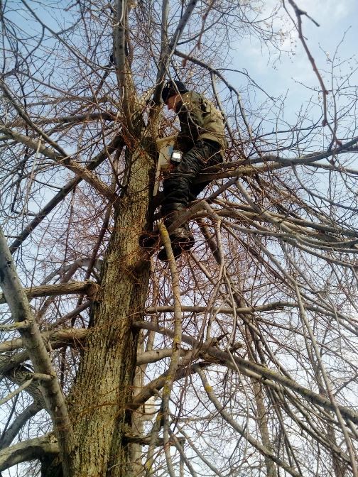 Салавыч балалар бакчасы... “Кызыл китап”ка кертелгән? Экологлар нәрсә ди?