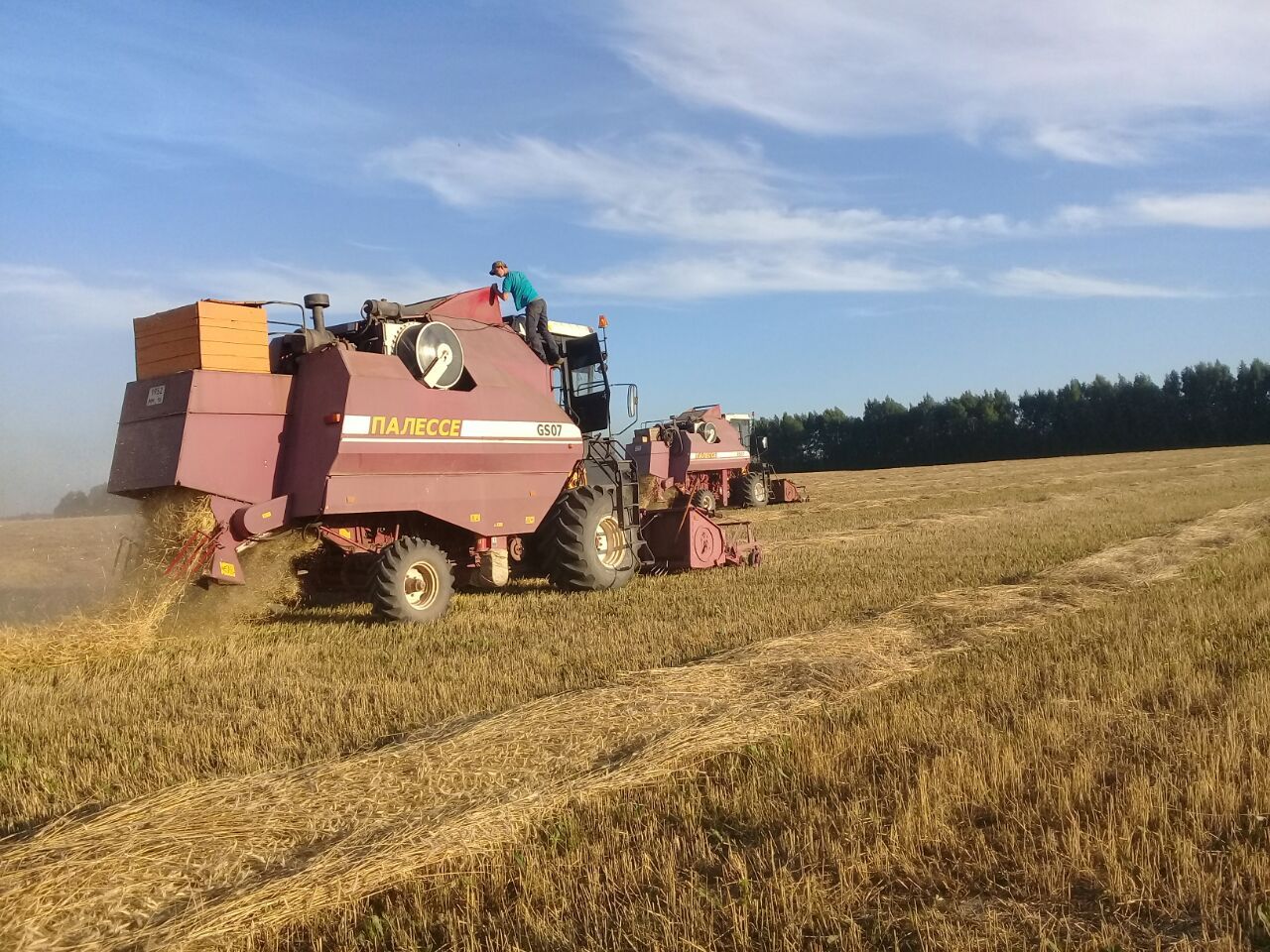 Кыр эшләре көндәлеге яки Көшкәтбаш басуларыннан фоторепортаж