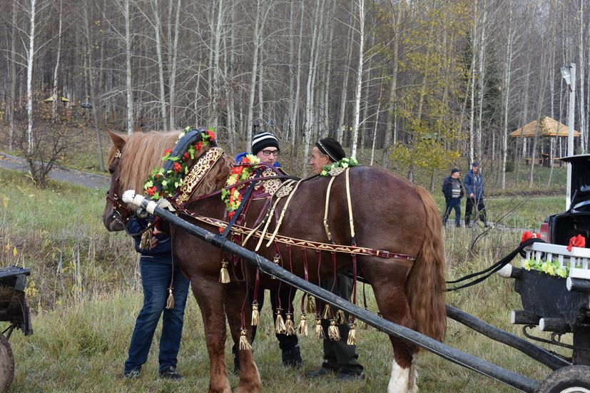 Сезон ябылды... хатирәләр калды