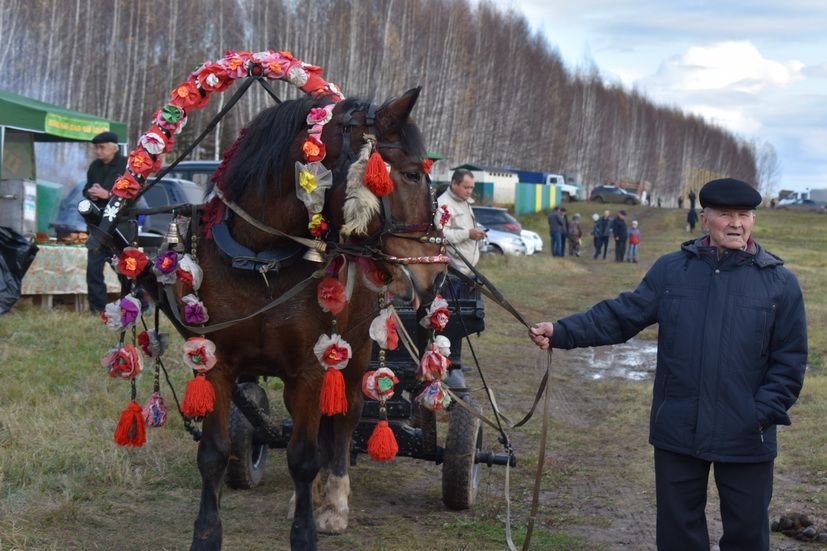 Сезон ябылды... хатирәләр калды