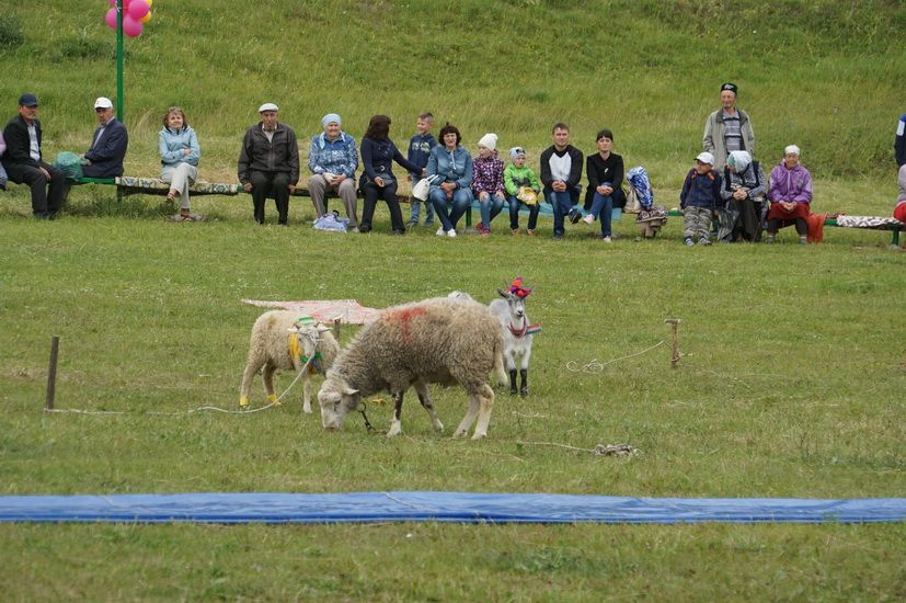 Карилеләр бәйрәм итә белә!