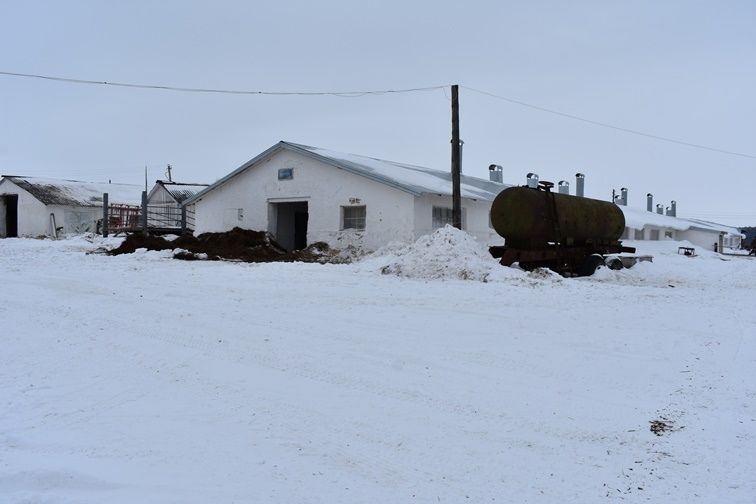 «Мөмкинлекләрне тулысынча файдаланабыз»