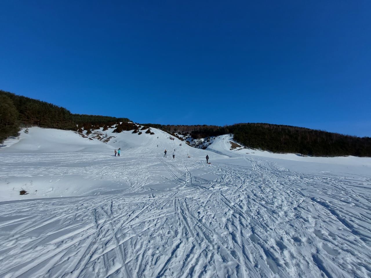 Бүген Арбор гөрләде (фото)