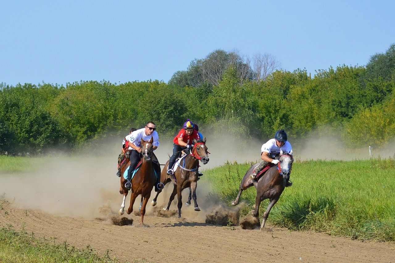 Хаҗирә, Монетка, Лаки Бой