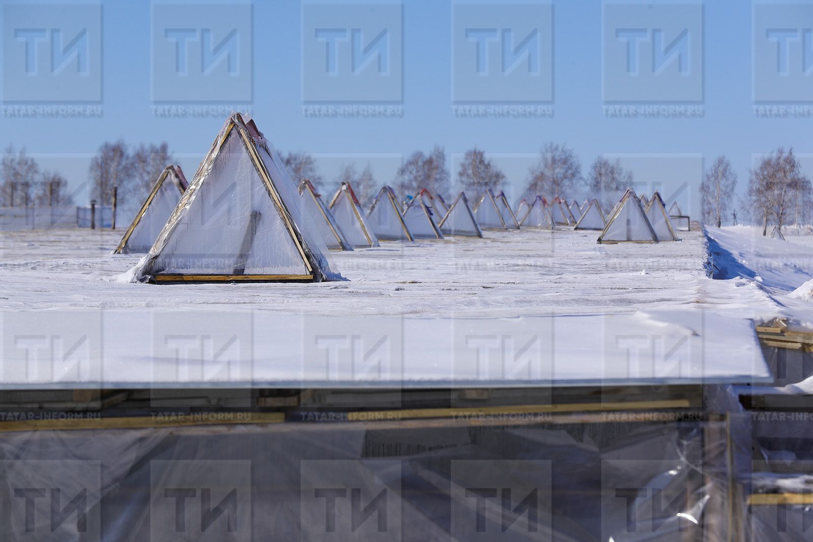 Беренче орлыкларны кайчан чәчергә?