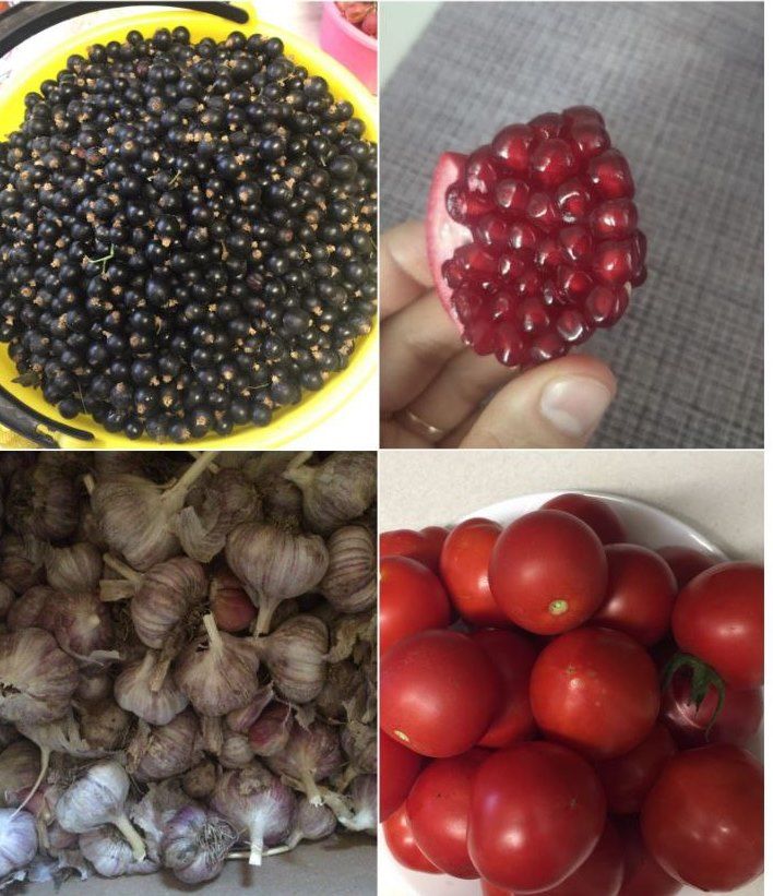 Канны сыеклый торган продуктларны беләсезме?