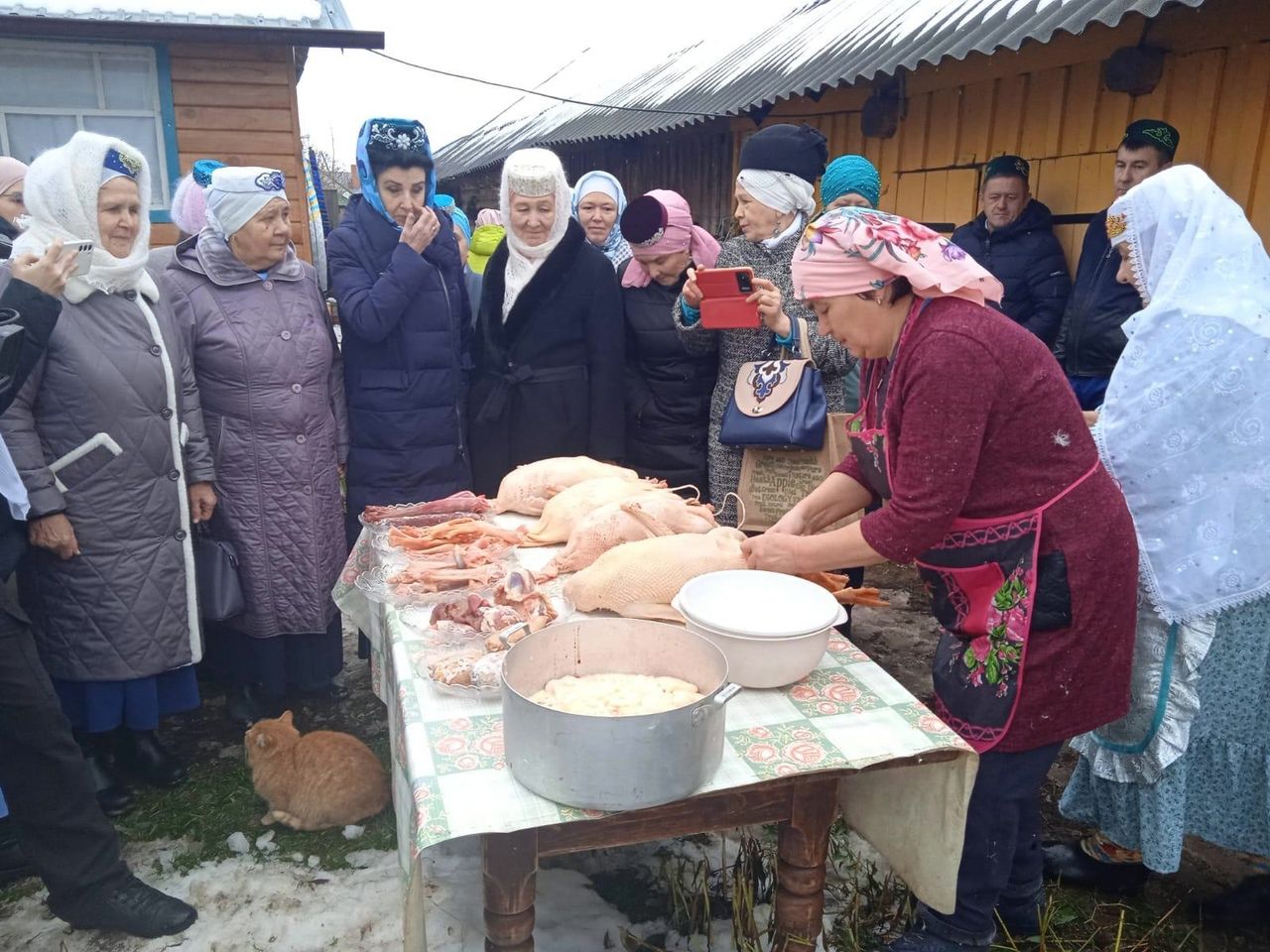 Шода авылында каз өмәсе гөрләде (фото)