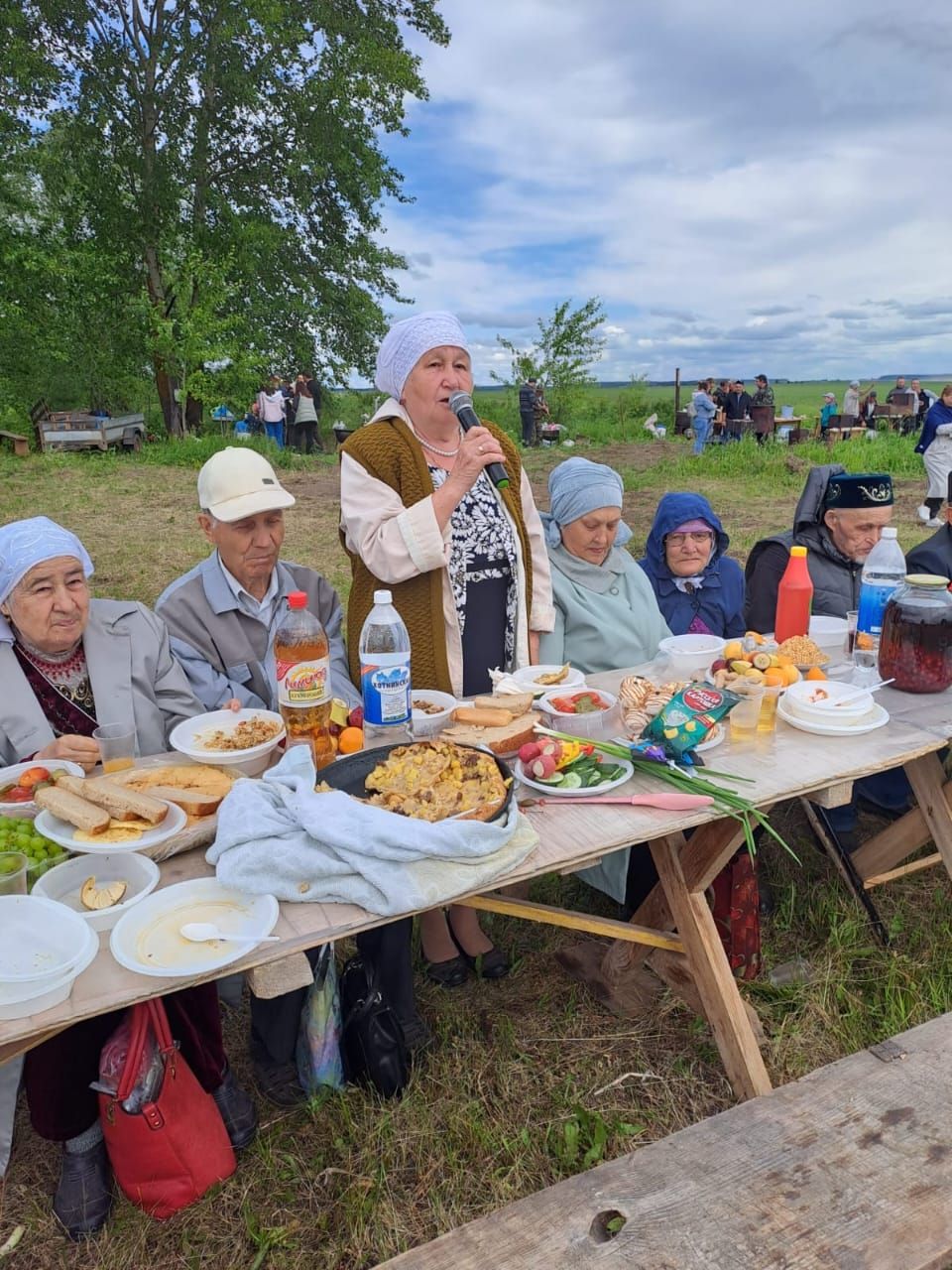 Бакча авылы көне гөрләп үтте (бик күп фото)