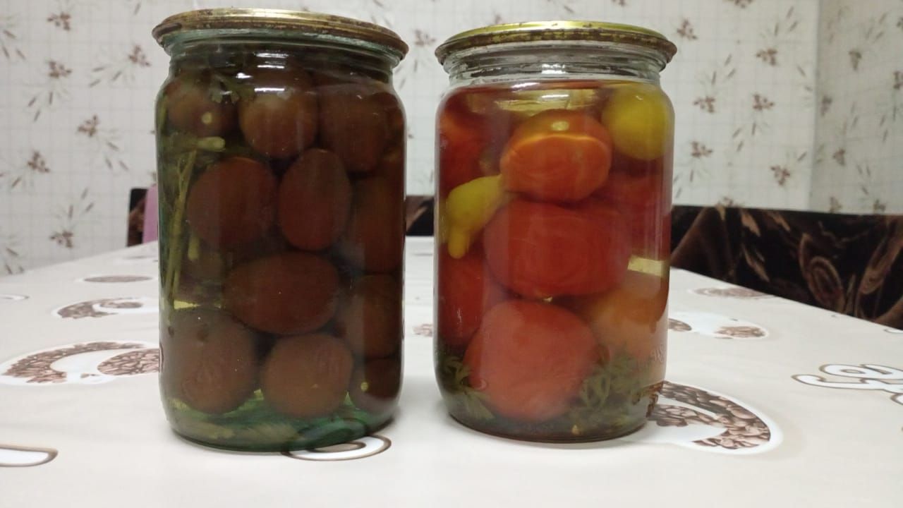 Кишер яфрагы белән маринадланган помидор рецепты