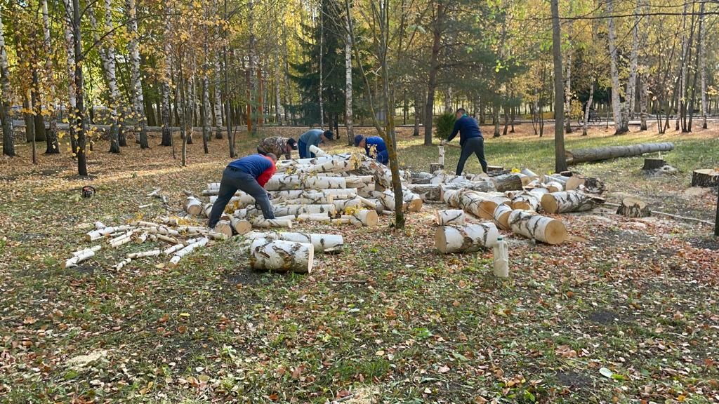 Балтачта карт агачларны кисеп, территорияне тәртипкә китерәләр (фото)