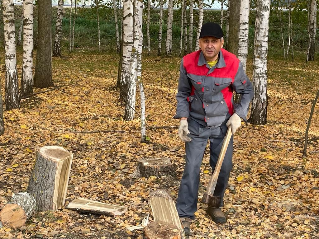 Балтачта карт агачларны кисеп, территорияне тәртипкә китерәләр (фото)