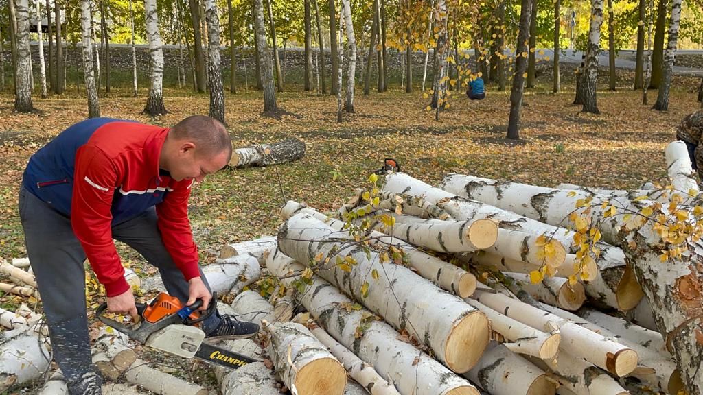 Балтачта карт агачларны кисеп, территорияне тәртипкә китерәләр (фото)