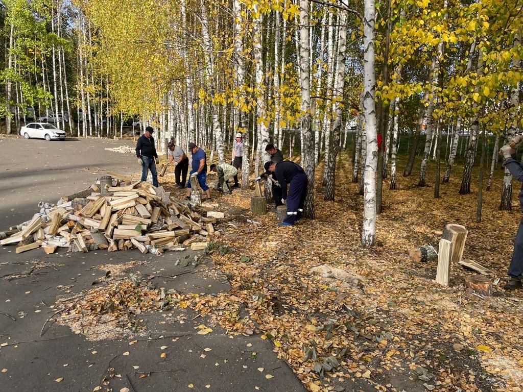 Балтачта карт агачларны кисеп, территорияне тәртипкә китерәләр (фото)