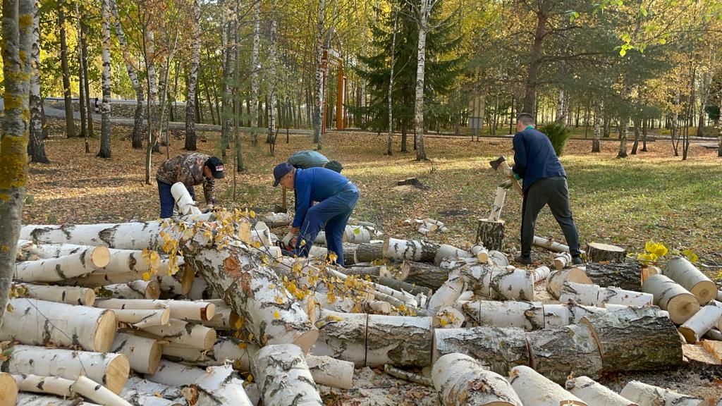 Балтачта карт агачларны кисеп, территорияне тәртипкә китерәләр (фото)