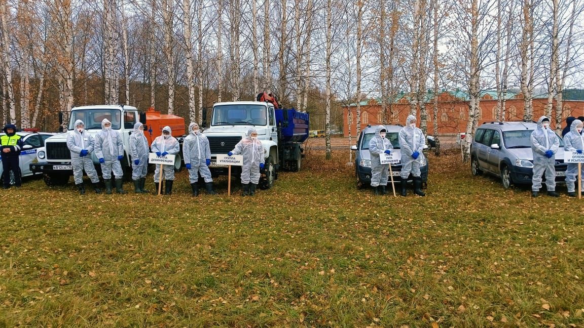 Балтачта кош гриппының таралуын бетерү буенча төбәкара өйрәнүләр узды (фото)