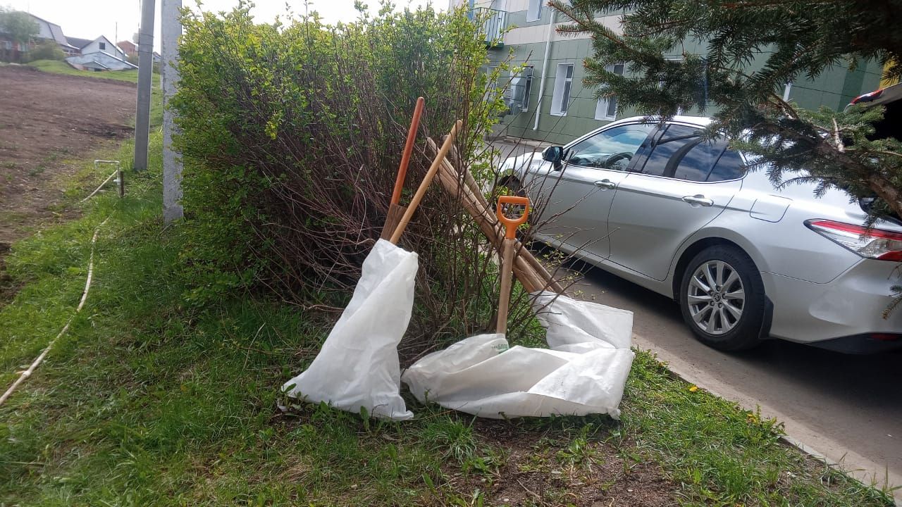 Харис Бәдретдинович бакча серләренә төшендерде (фото)